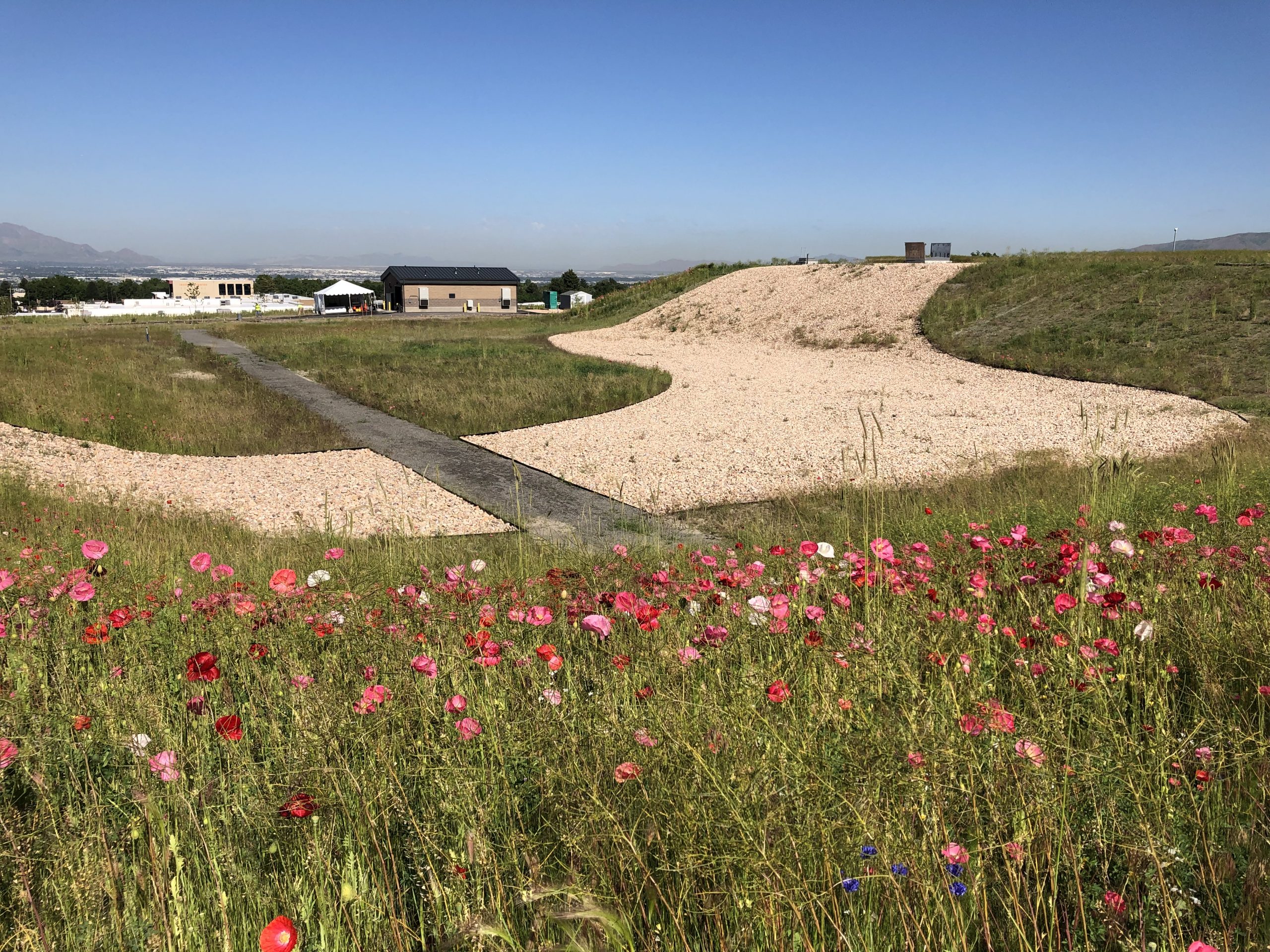 Landscaped area of the Terminal Reservoir with grass, rocks, and pink flowers.