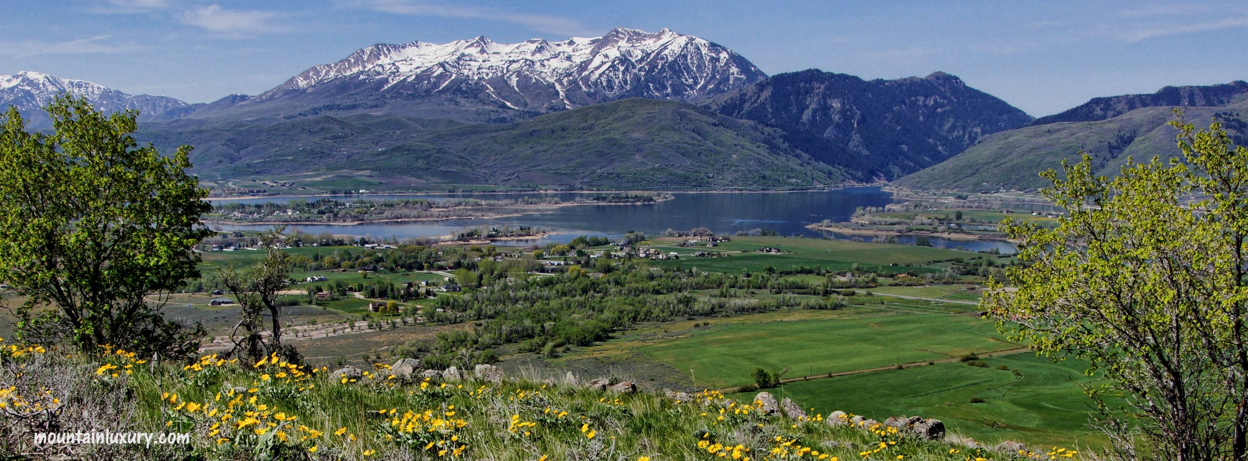 Ogden Valley with green grass, flowers, trees and lake with snow capped mountains behind.